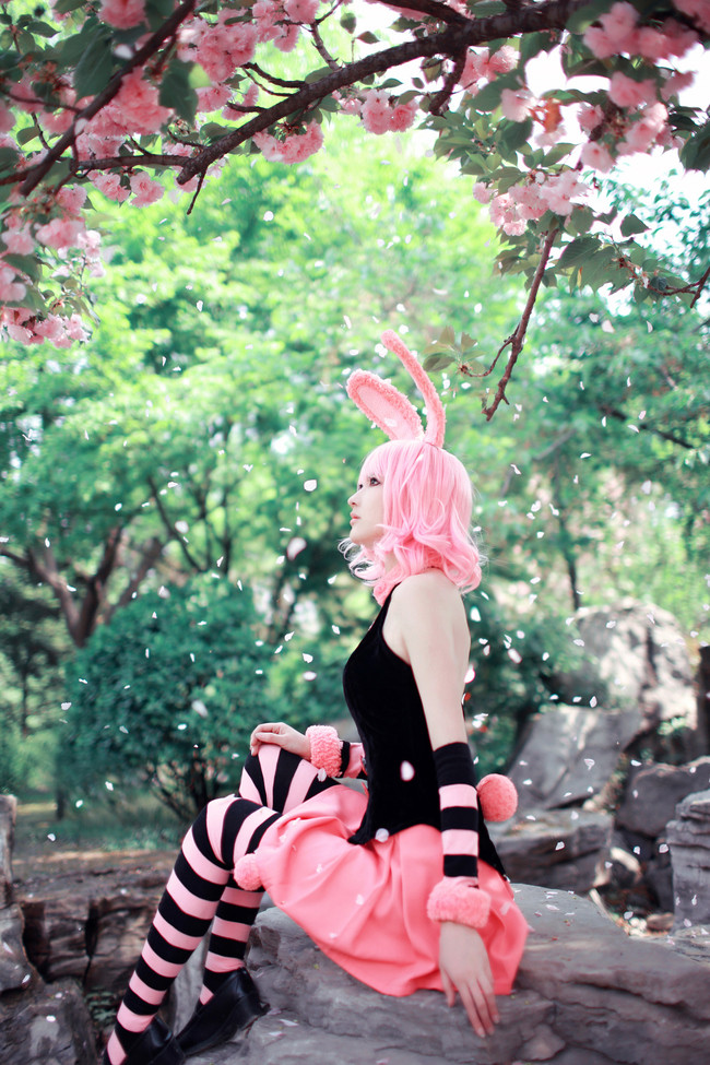 [cosplay]全职猎人Piyon[二次元cos]