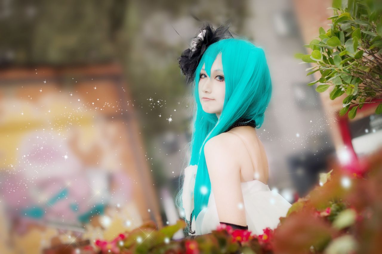 [cosplay]山茶花，MIKU and GUMI[二次元cos]