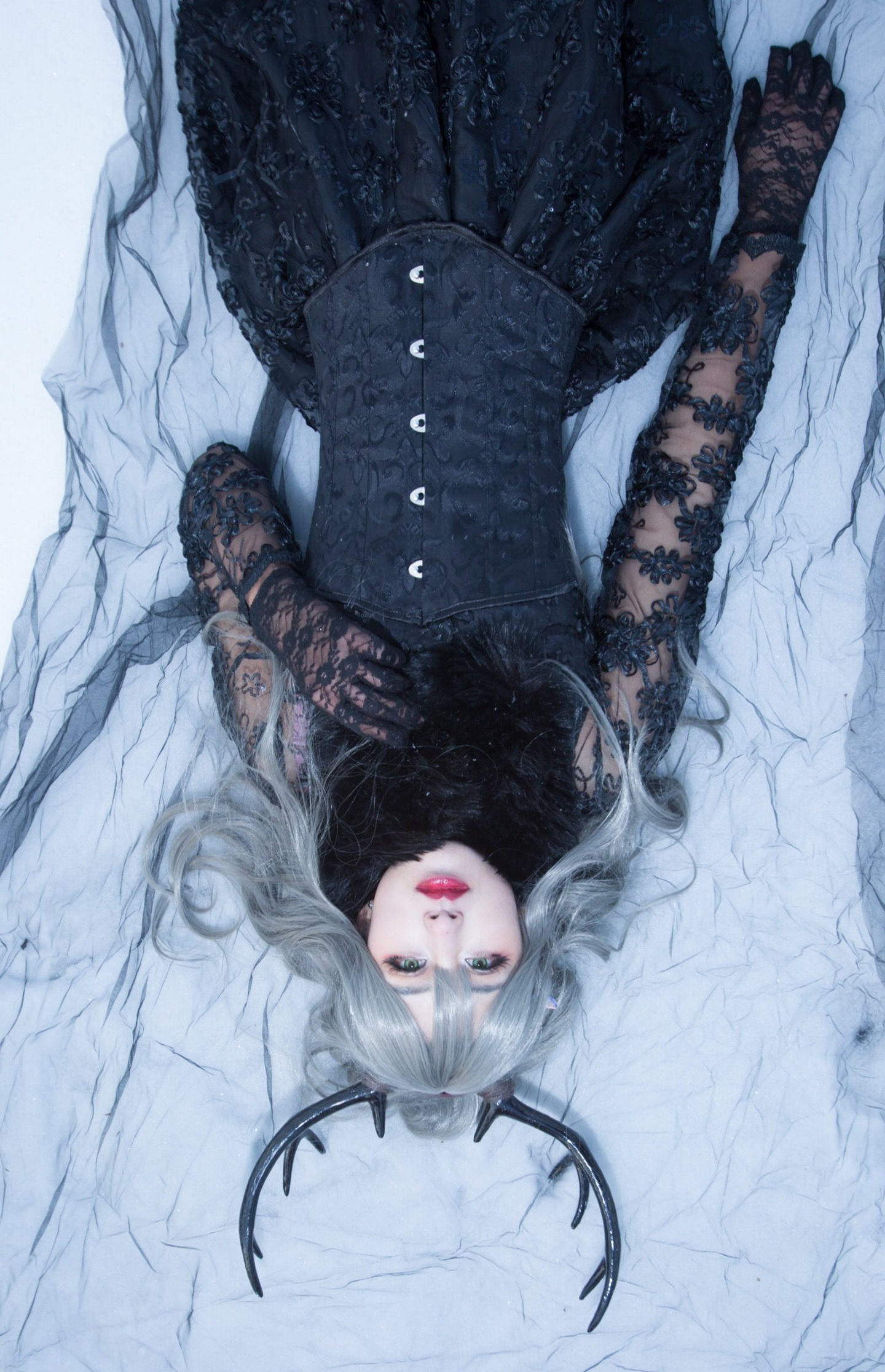 Wonderland