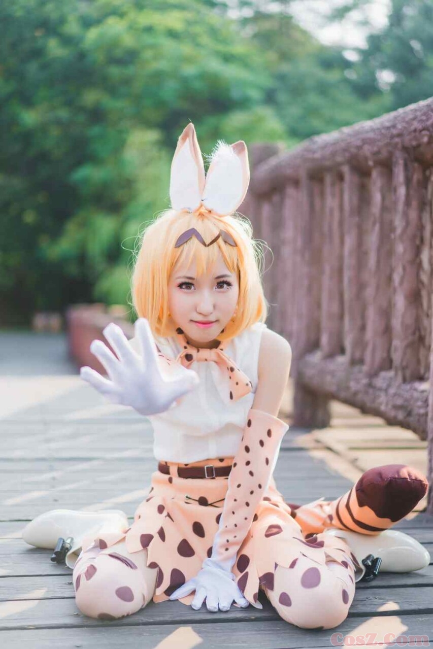 兽娘动物园薮猫