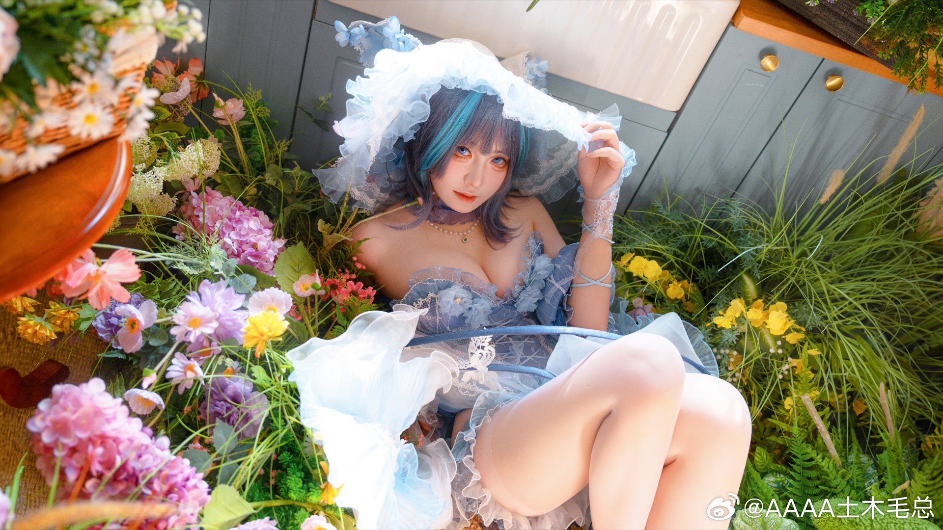 COSPLAY 阳光下的柴郡猫猫也太可爱了 碧蓝航线 柴郡@AAAA土木毛总